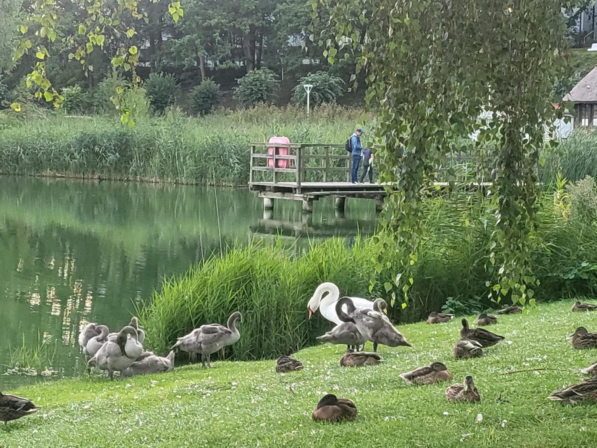 Hotel Karl'S Burg Kölpinsee Kültér fotó
