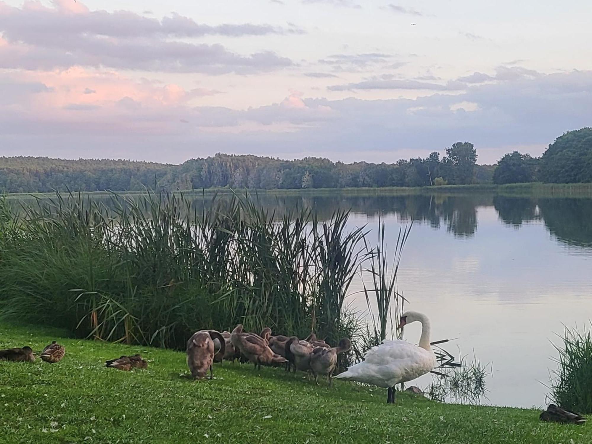 Hotel Karl'S Burg Kölpinsee Kültér fotó